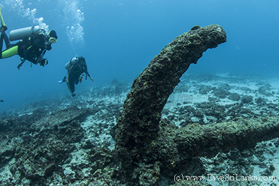 Bottle Wreck Anchor